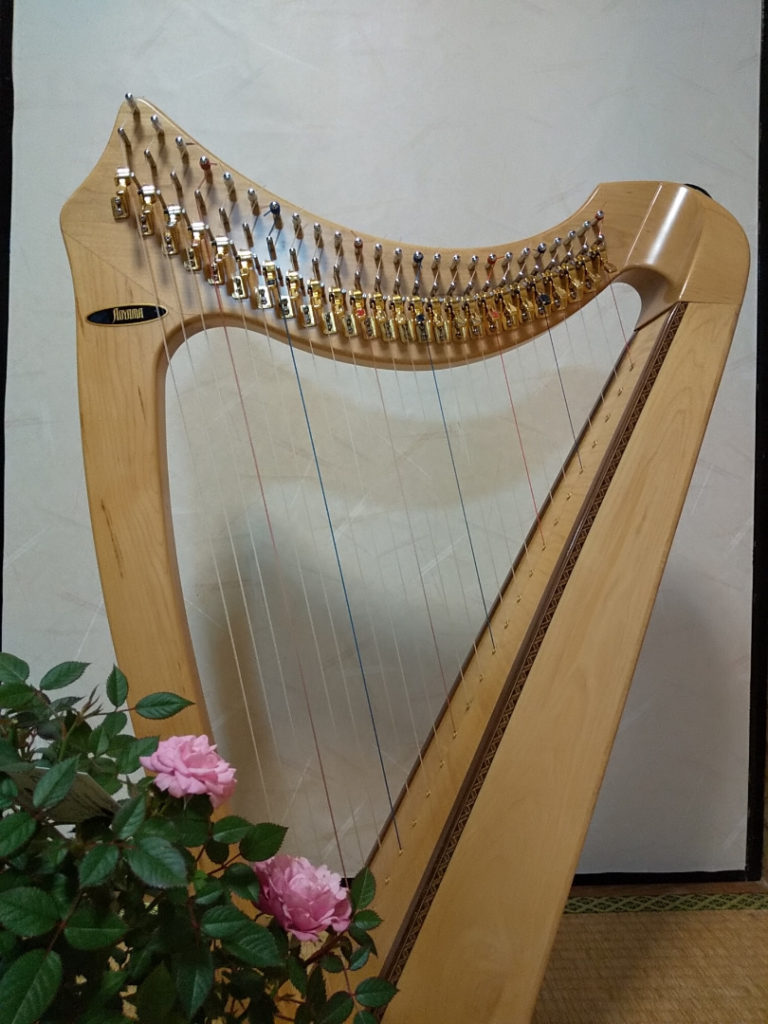 ハープ紹介 | Harp Artist satoko ハープ演奏・教室