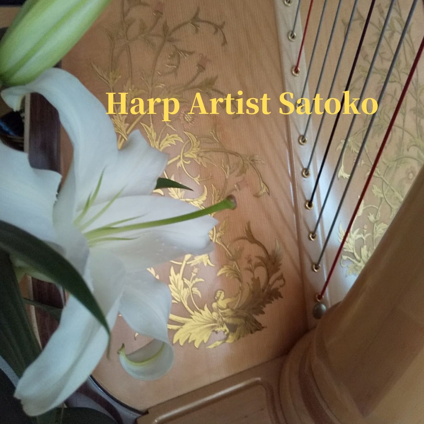 Harp Artist Satoko CDの原本