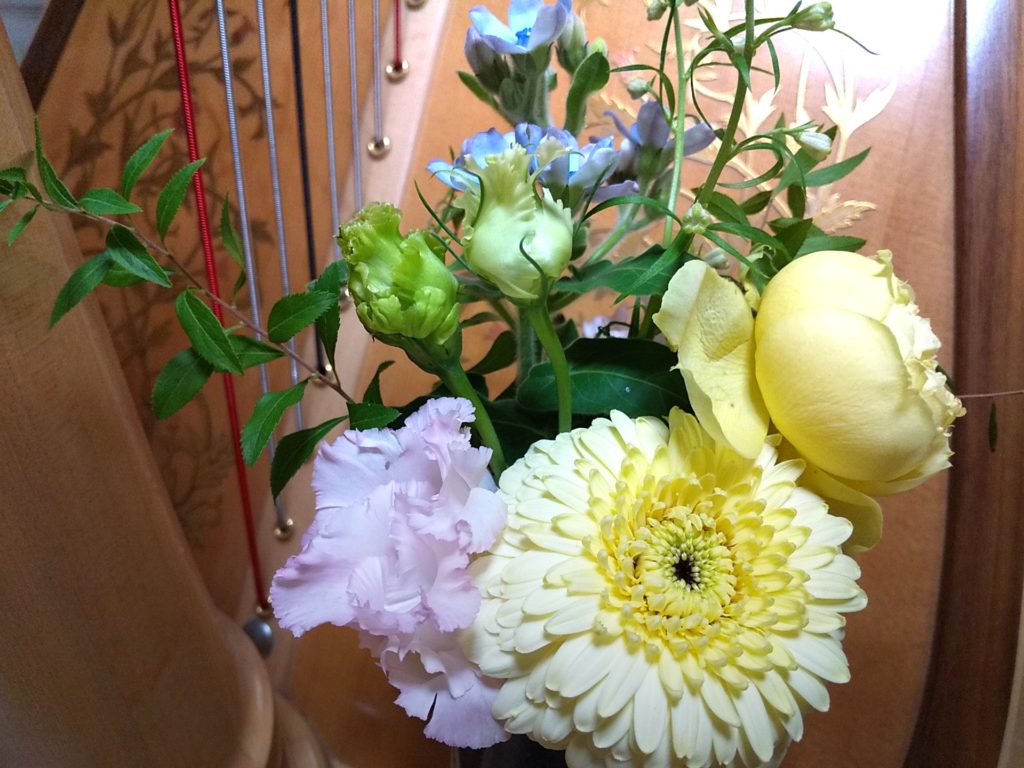お花感謝