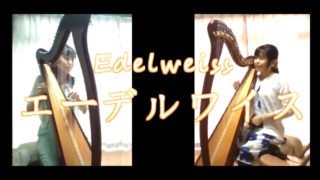 エーデルワイス